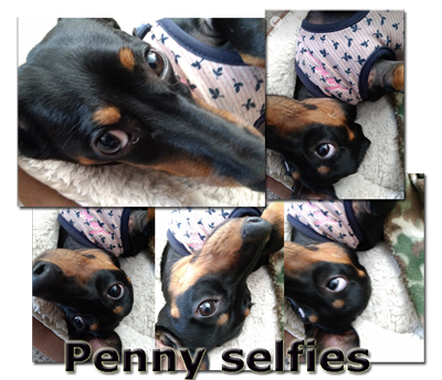 Penny selfies.